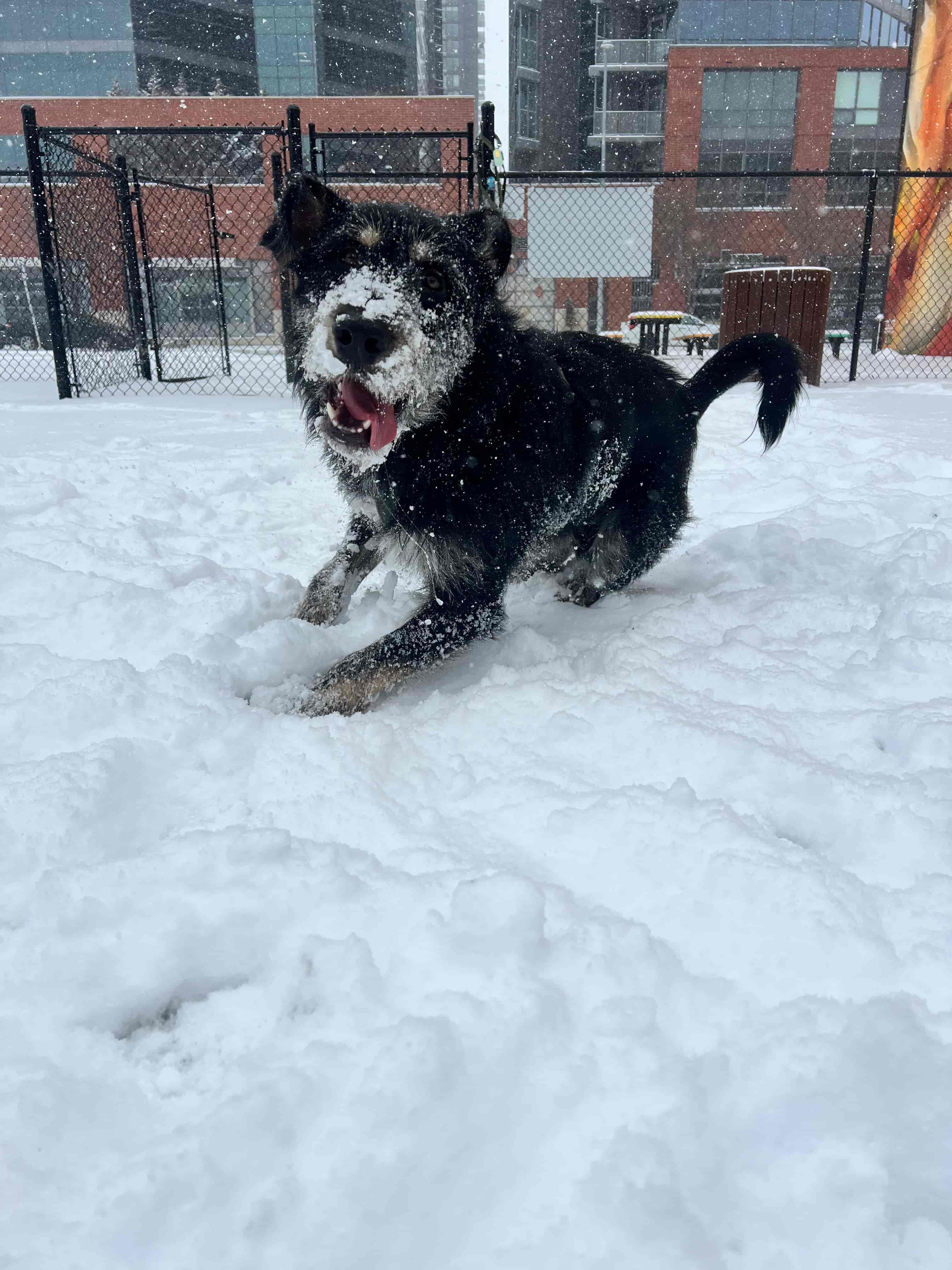 Farley, co-chief of quality control